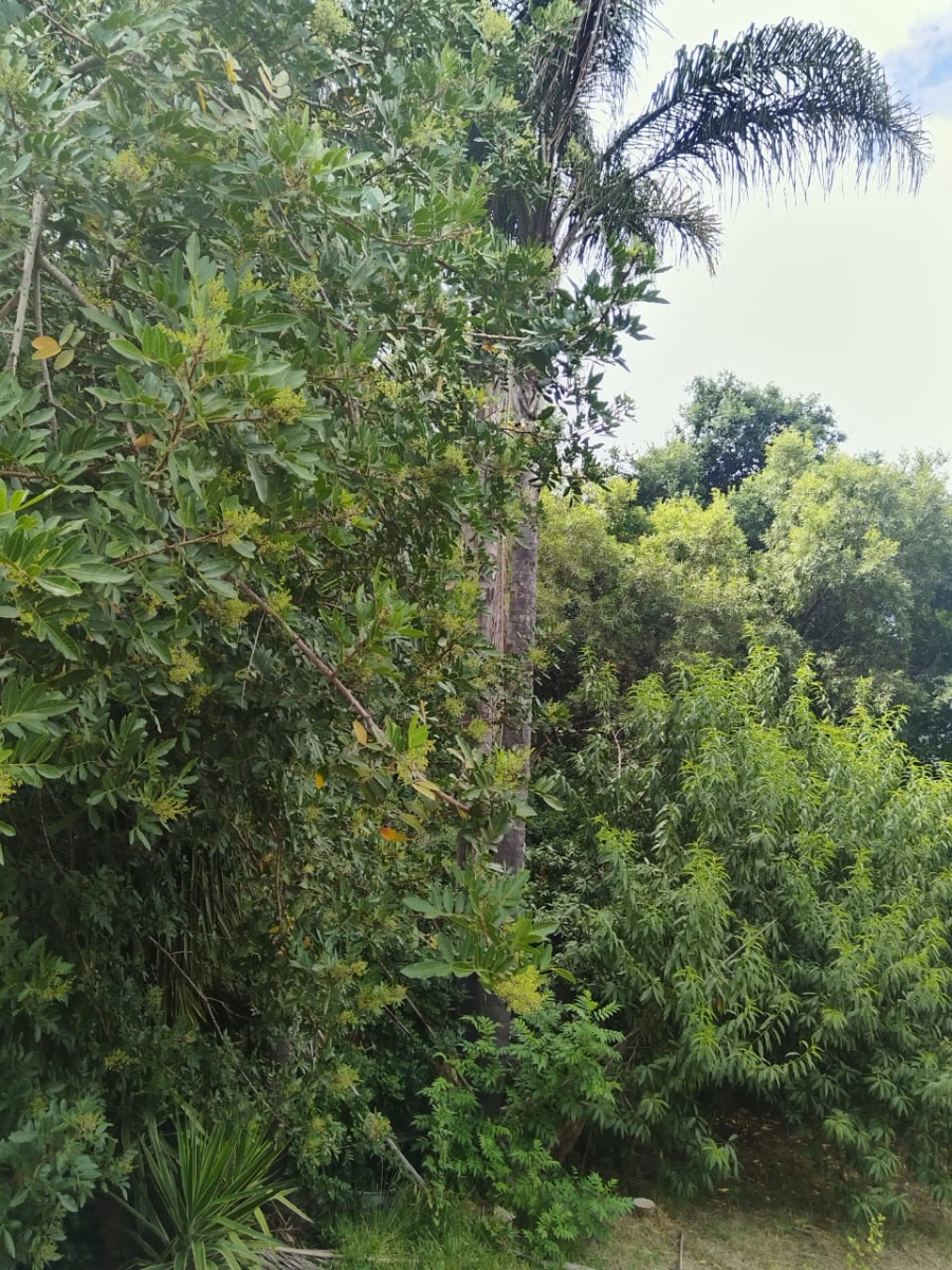 5 Bedroom Property for Sale in Schoemansville North West